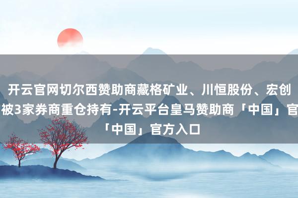 开云官网切尔西赞助商藏格矿业、川恒股份、宏创控股均被3家券商重仓持有-开云平台皇马赞助商「中国」官方入口