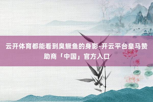 云开体育都能看到臭鳜鱼的身影-开云平台皇马赞助商「中国」官方入口